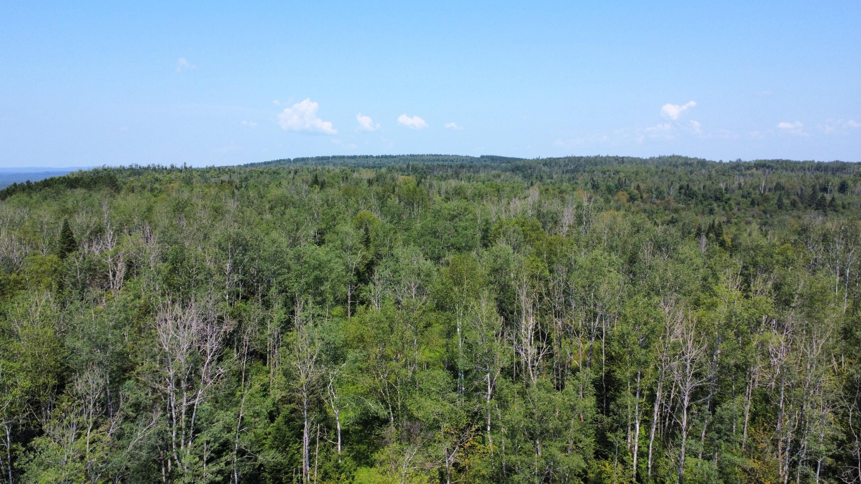 886 Grivois Road Grand Isle, ME 04746 - Photo 13 of 18 dji_fly_20240802_113350_666_172261307496