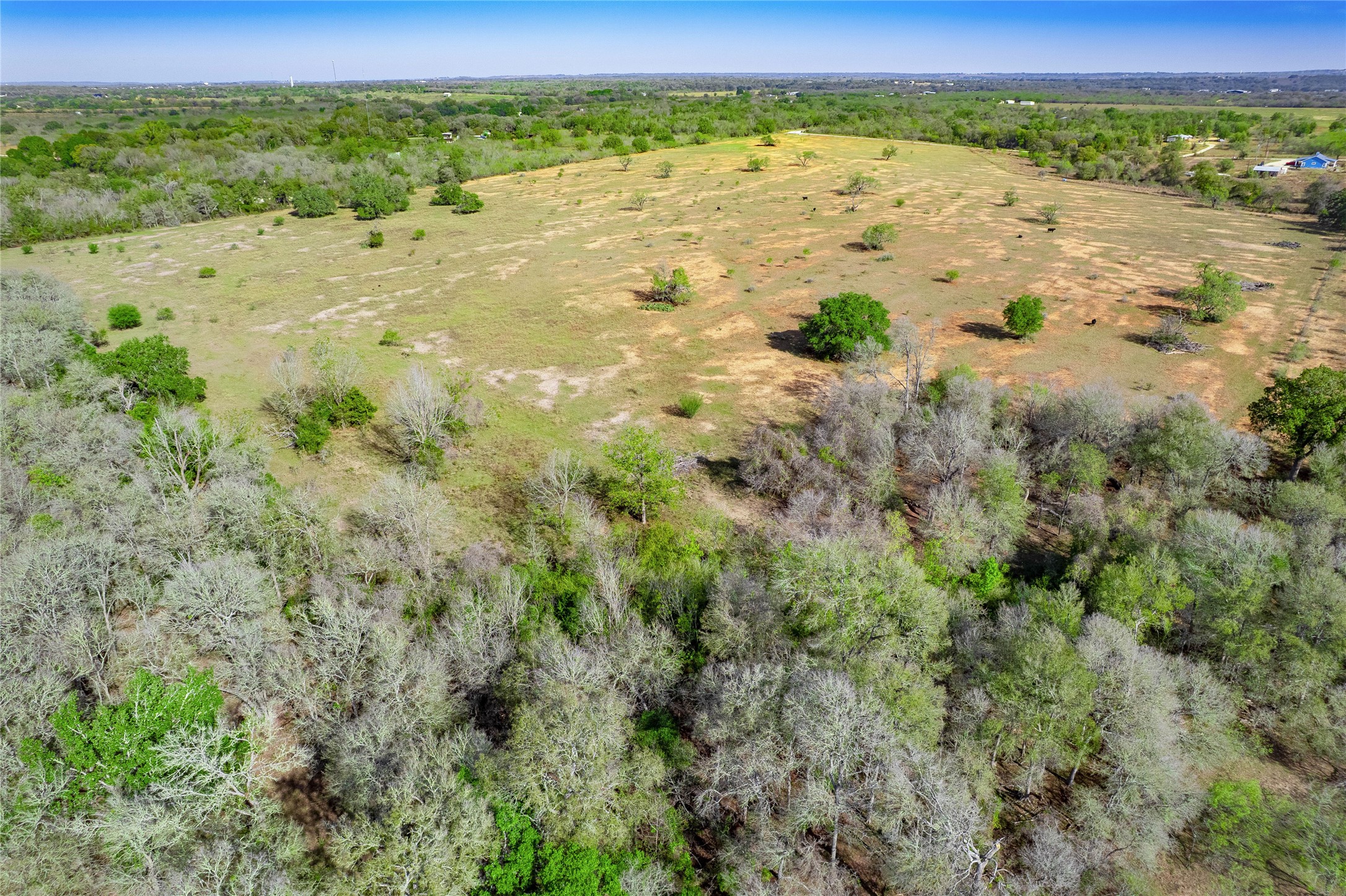 1180 Bugtussle Lane Luling, TX 78648 - Photo 14 of 21 a view of a field with an ocean