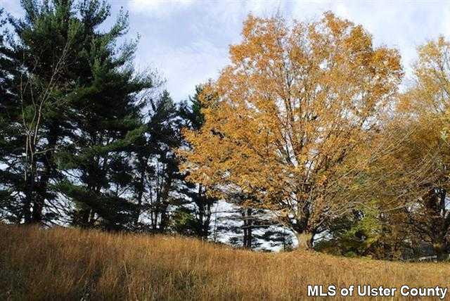 0 Cooper Lake Road, Unit CORNER OF RACETRACK ROAD Bearsville, NY 12409 - Photo 12 of 17 Photo 12