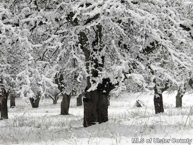 0 Cooper Lake Road, Unit CORNER OF RACETRACK ROAD Bearsville, NY 12409 - Photo 14 of 17 Photo 14