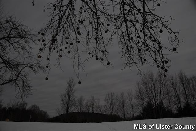 0 Cooper Lake Road, Unit CORNER OF RACETRACK ROAD Bearsville, NY 12409 - Photo 17 of 17 Photo 17