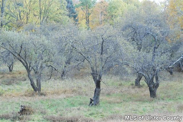 0 Cooper Lake Road, Unit CORNER OF RACETRACK ROAD Bearsville, NY 12409 - Photo 7 of 17 Photo 7