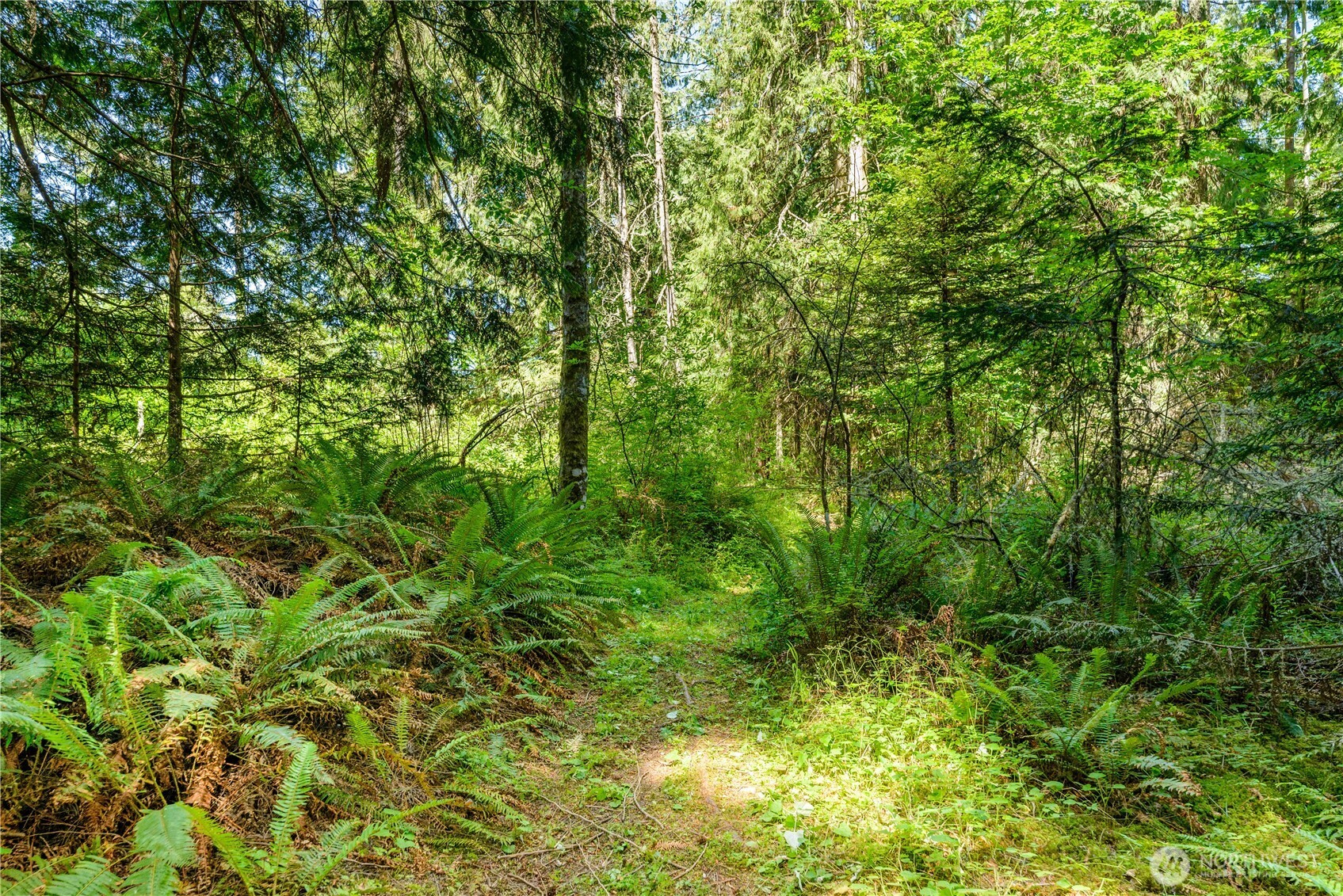 8888 Charles Roberts Road Sequim, WA 98382 - Photo 12 of 15