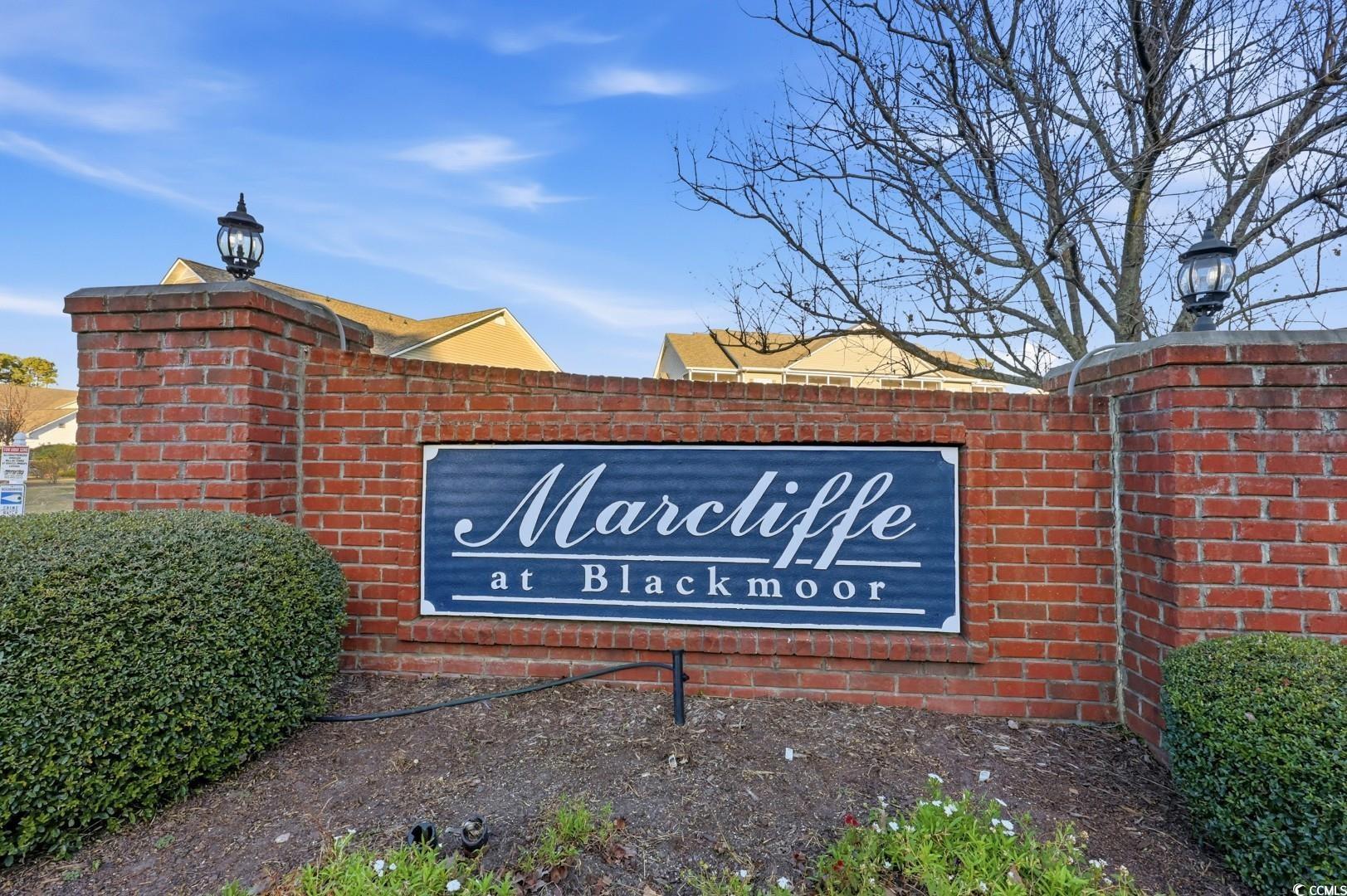 5828 Longwood Drive, Unit 12301 Murrells Inlet, SC 29576 - Photo 35 of 40