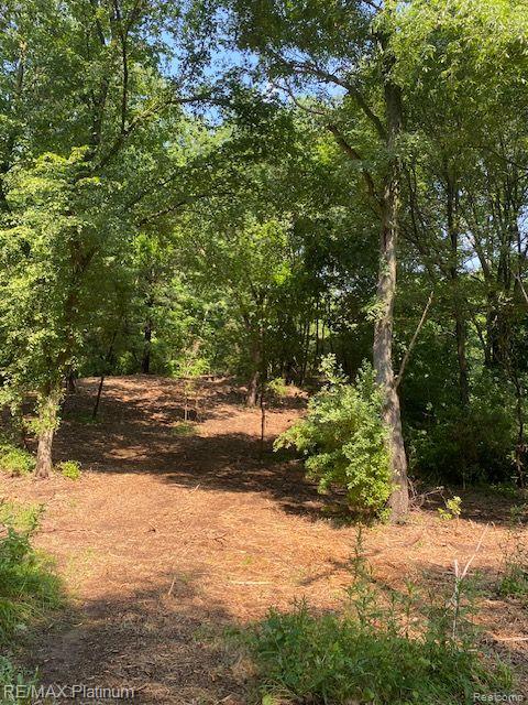 7 Sleaford-parcel 7 - 2 Acres Road Howell, MI 48843 - Photo 26 of 45
