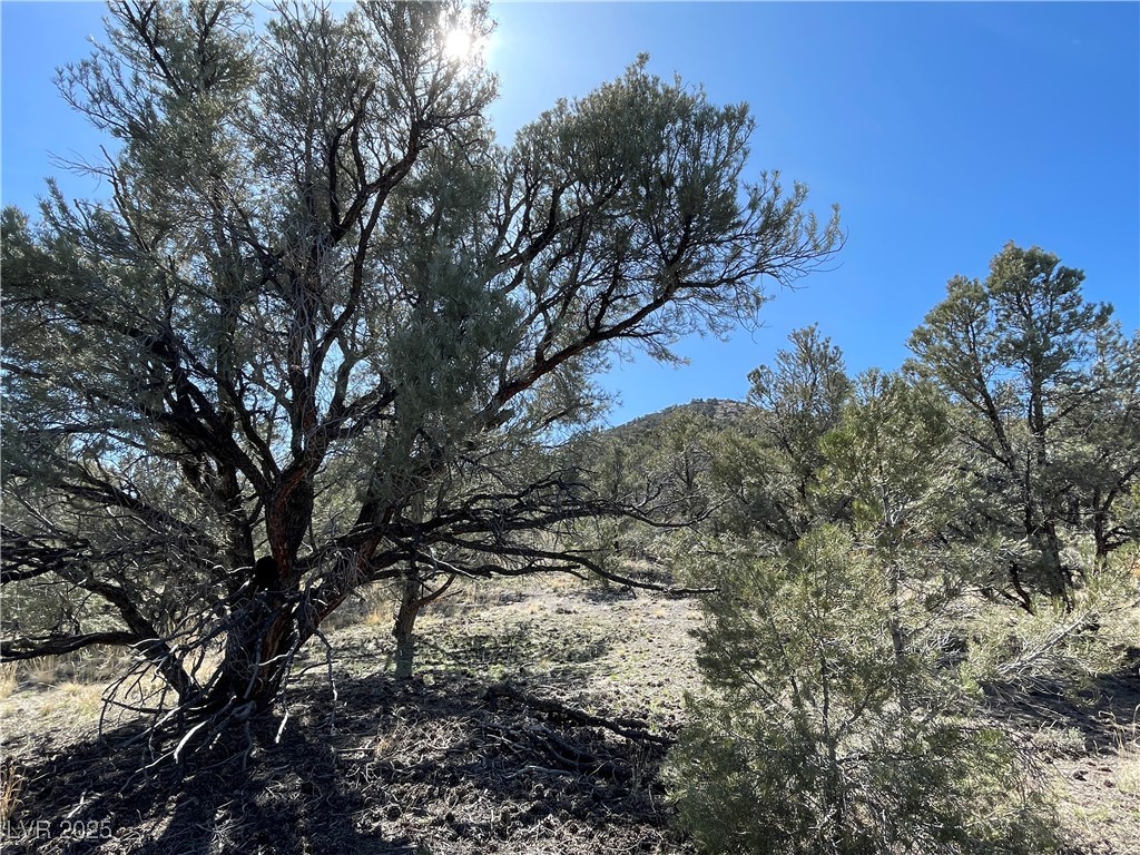 P-12 Butte Valley Ely, NV 89301 - Photo 2 of 3