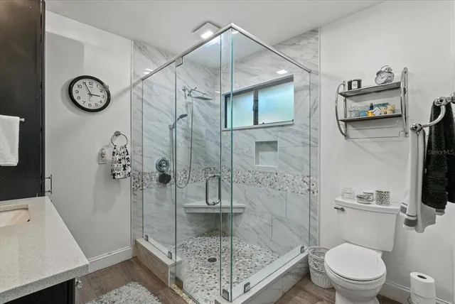 a bathroom with a shower and toilet