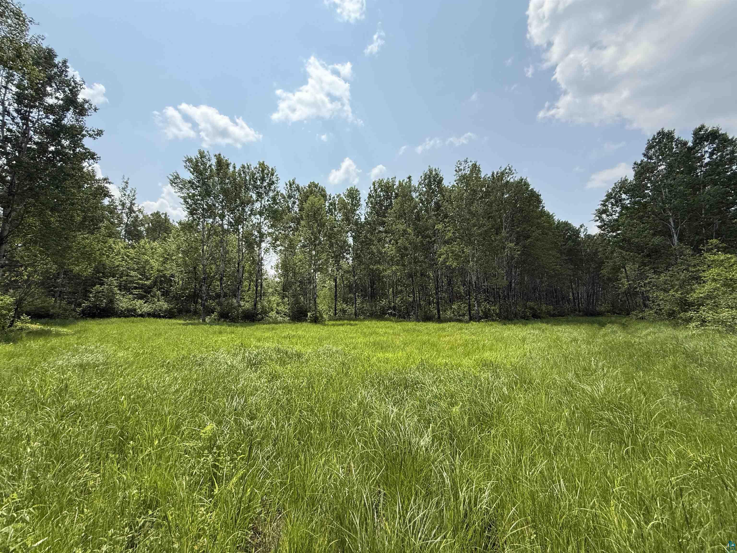 Tbd Samuelson Road Angora, MN 55703 - Photo 7 of 43 View of woods