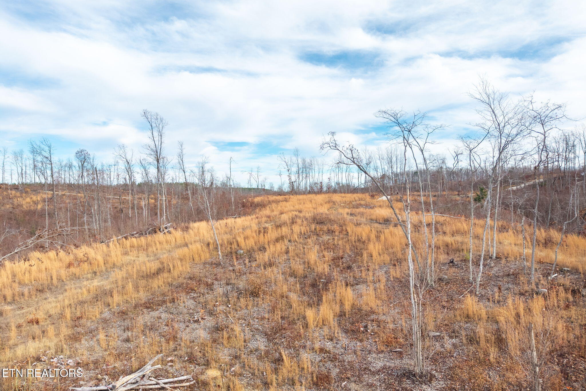 149 Aspen Heights Road Jamestown, TN 38556 - Photo 2 of 5 11-web-or-mls-Lot 7 Flat Rock Rd_9