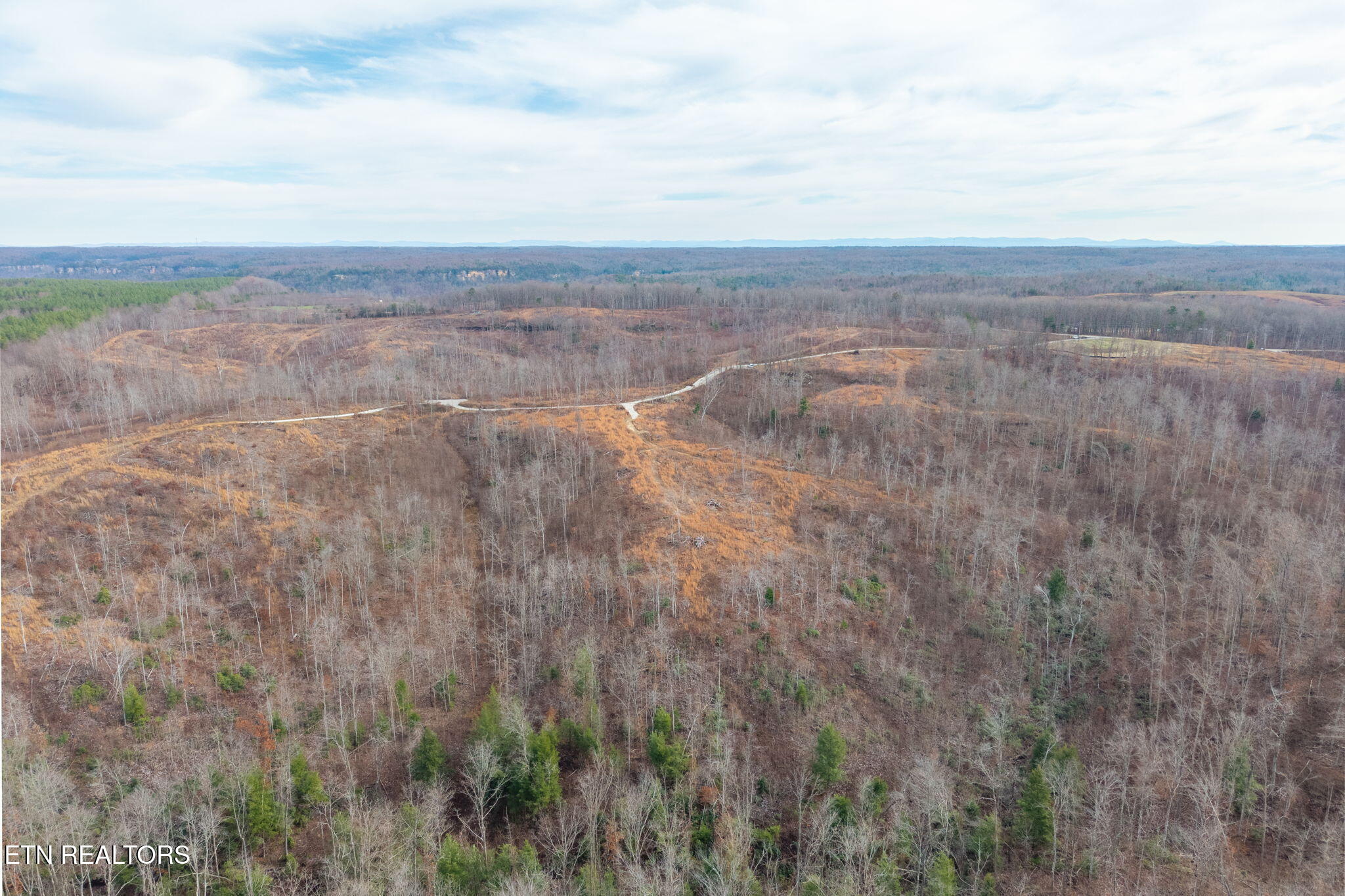 149 Aspen Heights Road Jamestown, TN 38556 - Photo 3 of 5 6-web-or-mls-Lot 7 Flat Rock Rd_4