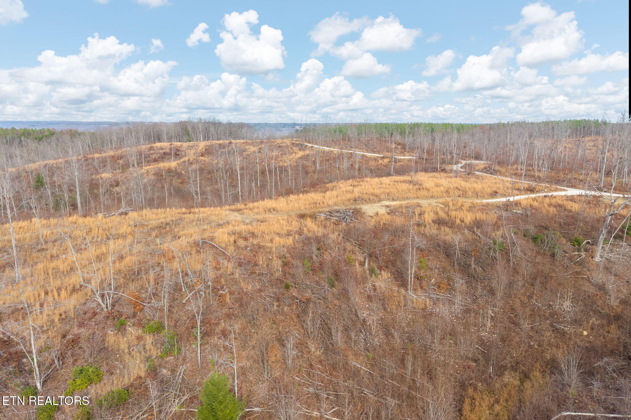 149 Aspen Heights Road Jamestown, TN 38556 - Photo 5 of 5 7-web-or-mls-Lot 7 Flat Rock Rd_5