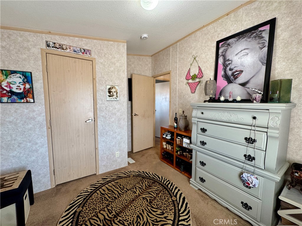 3770 Turtle Beach Circle Needles, CA 92363 - Photo 31 of 50