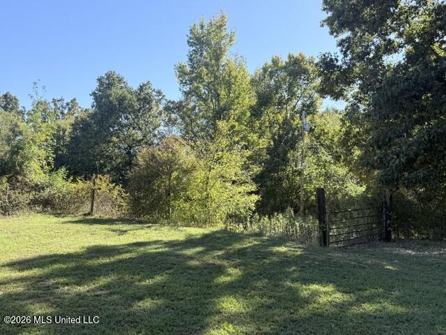 814 Hogan Road Holly Springs, MS 38635 - Photo 8 of 8 IMG_8484
