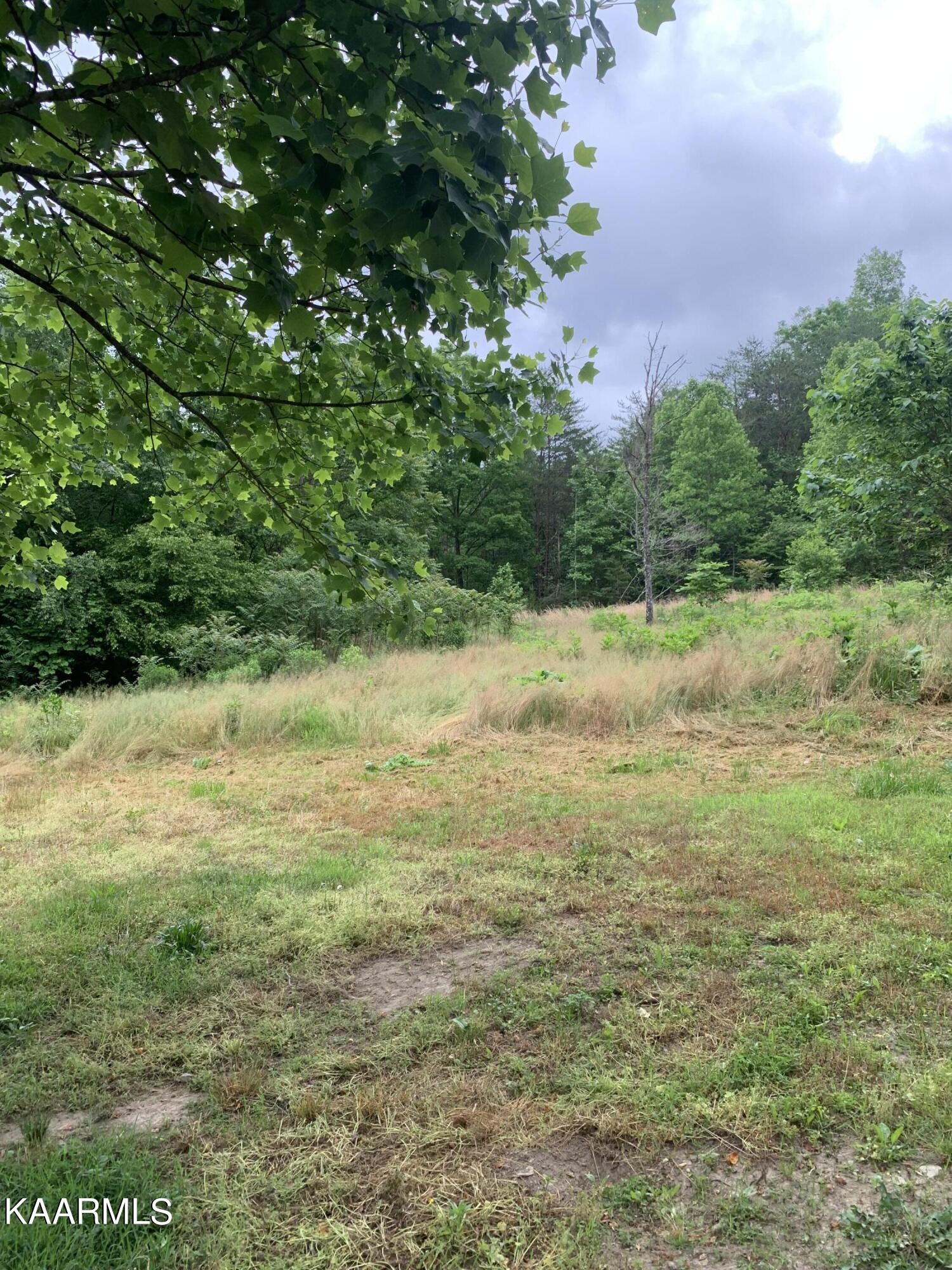 1971 Steve Brown Road Bean Station, TN 37708 - Photo 11 of 15