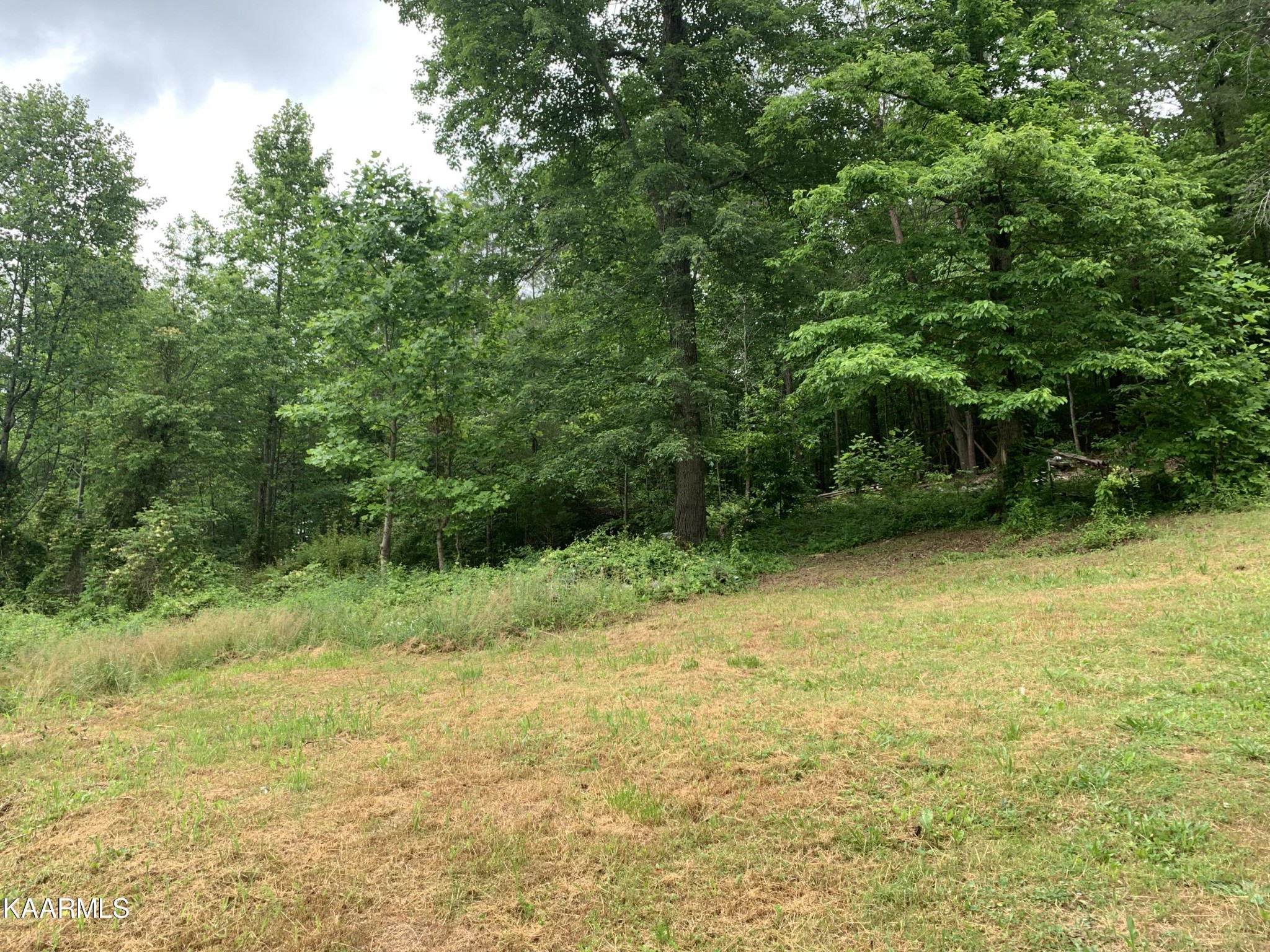 1971 Steve Brown Road Bean Station, TN 37708 - Photo 14 of 15