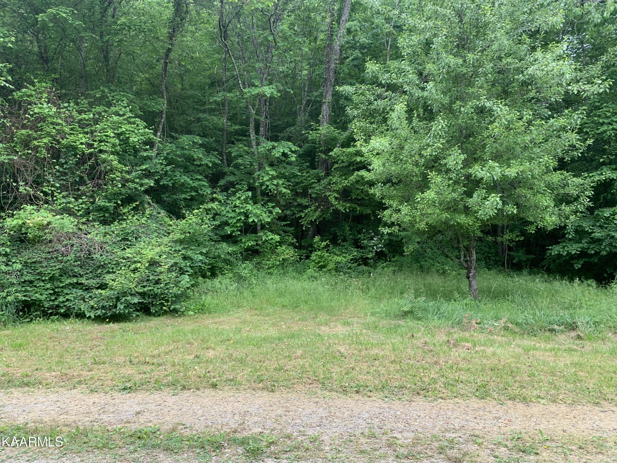 1971 Steve Brown Road Bean Station, TN 37708 - Photo 4 of 15