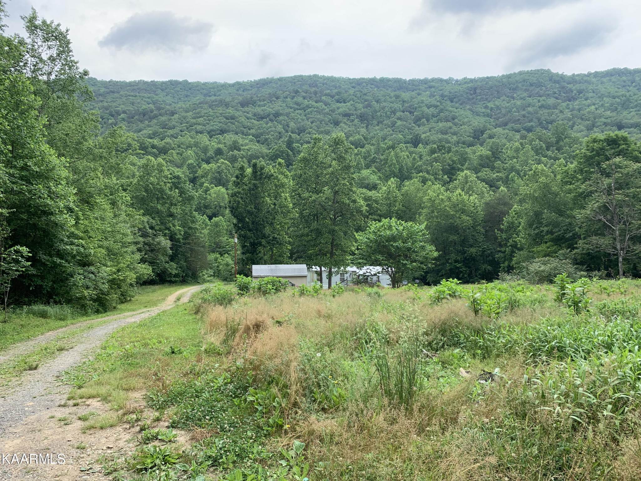 1971 Steve Brown Road Bean Station, TN 37708 - Photo 5 of 15