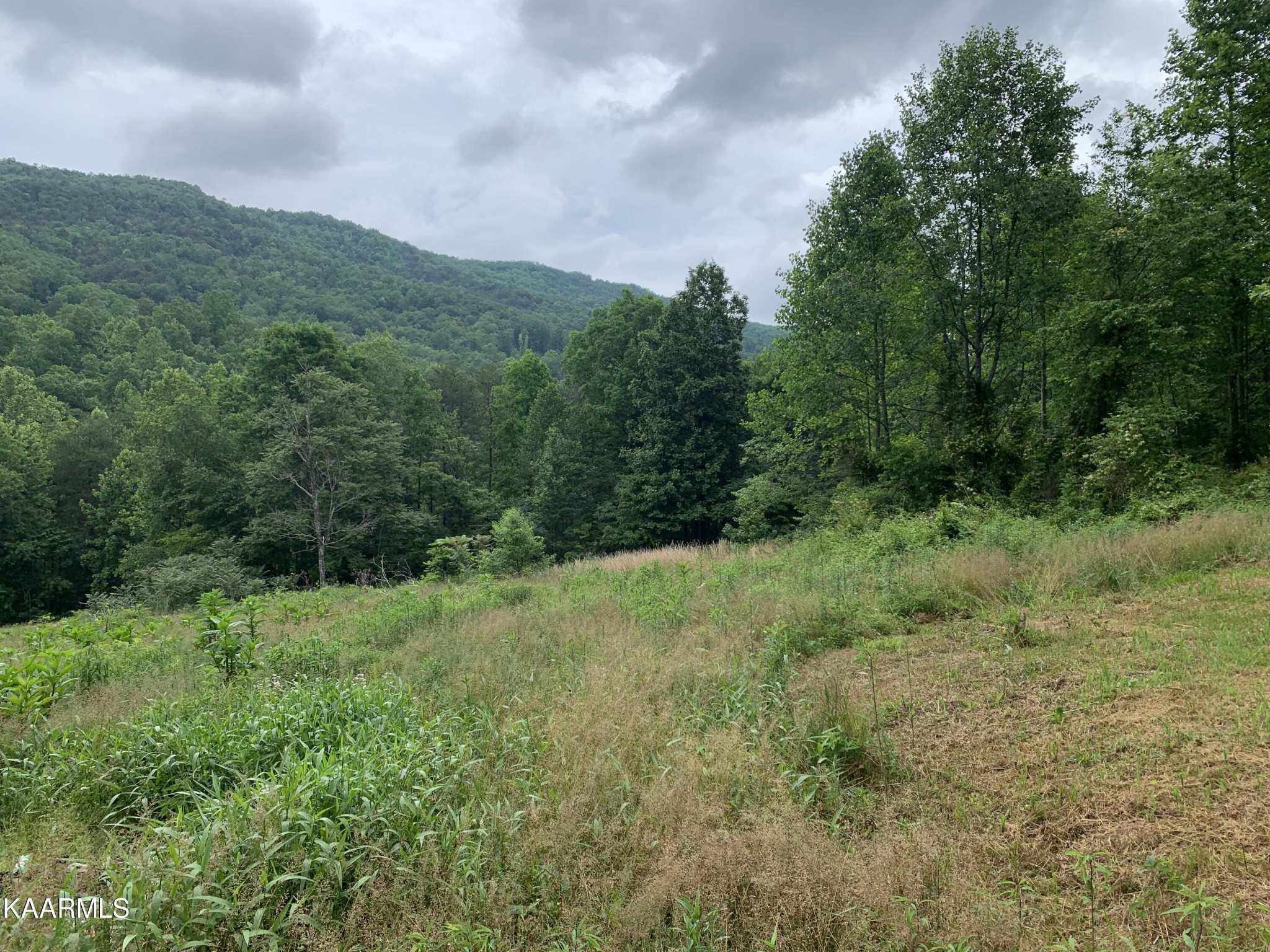 1971 Steve Brown Road Bean Station, TN 37708 - Photo 6 of 15