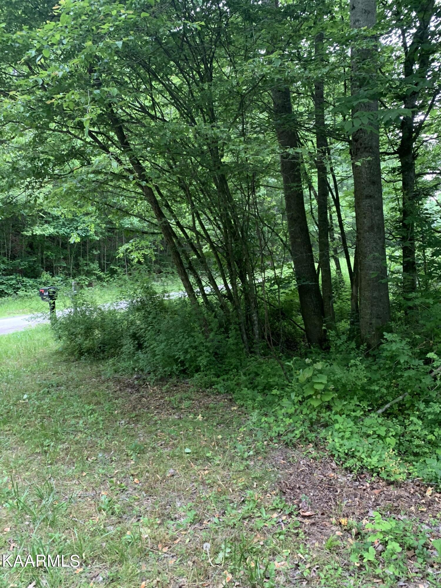 1971 Steve Brown Road Bean Station, TN 37708 - Photo 8 of 15