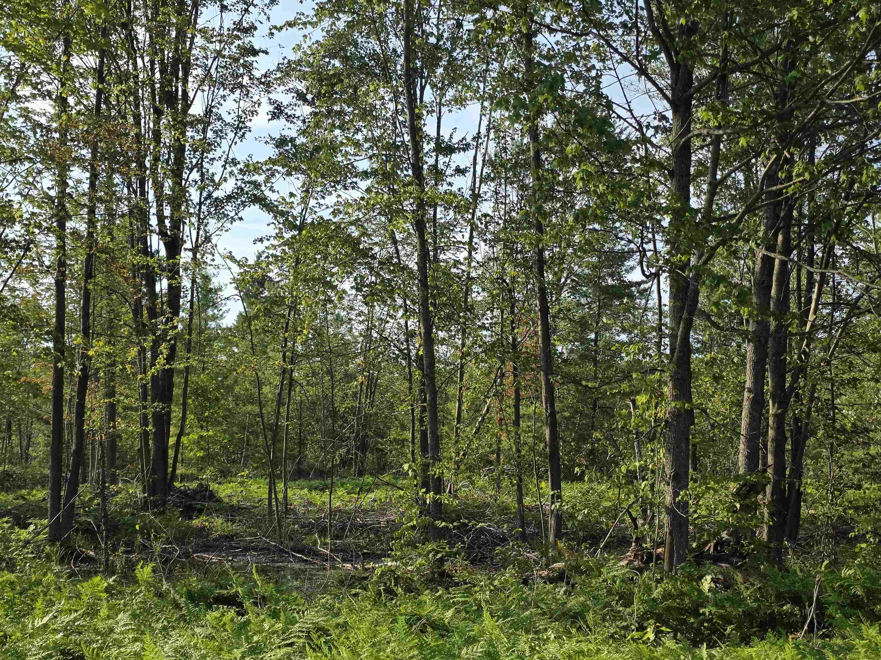 0 Arnold Road Manton, MI 49663 - Photo 35 of 63