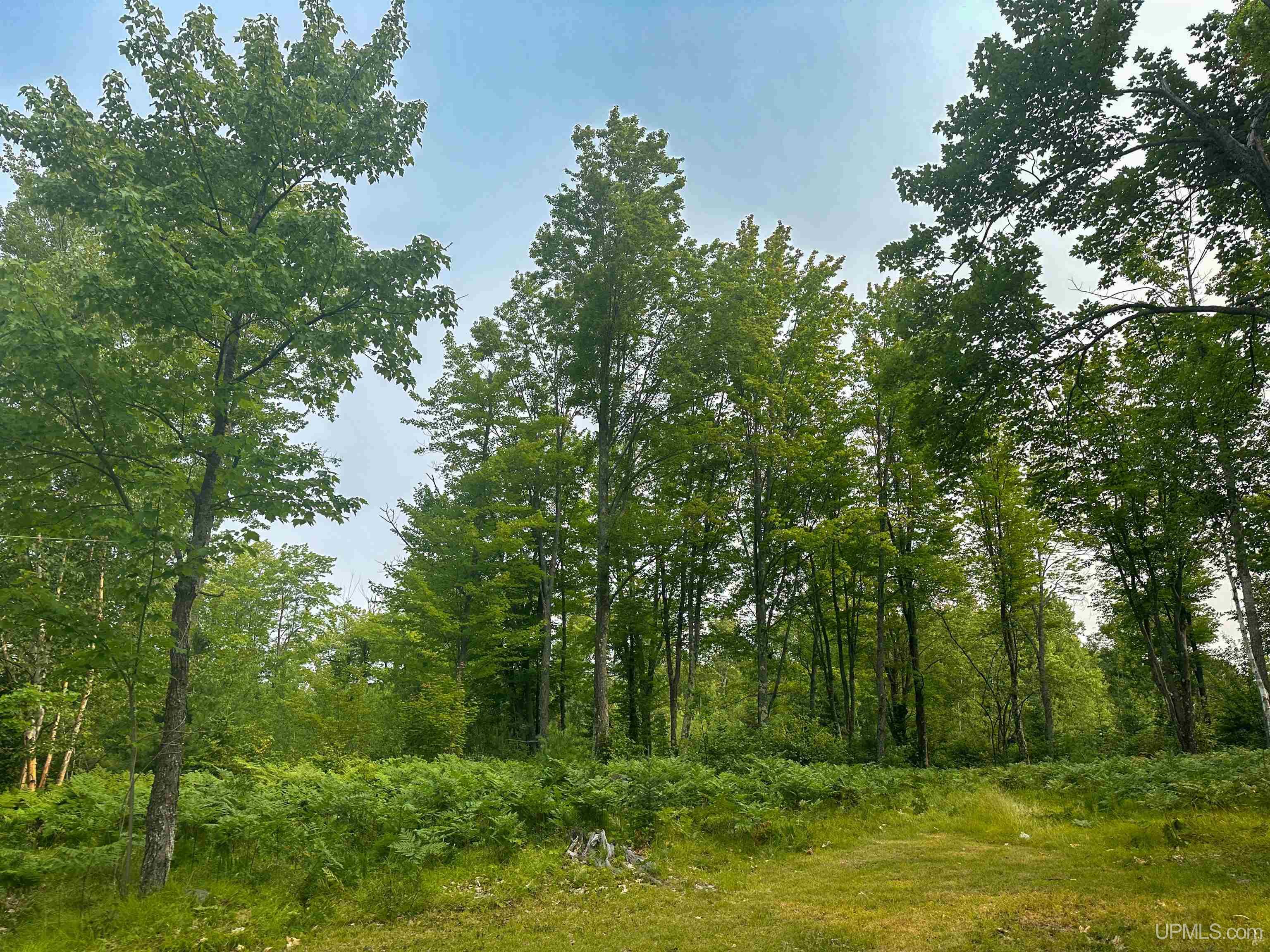 Tbd Tbd Co Road Ishpeming, MI 49849 - Photo 12 of 43