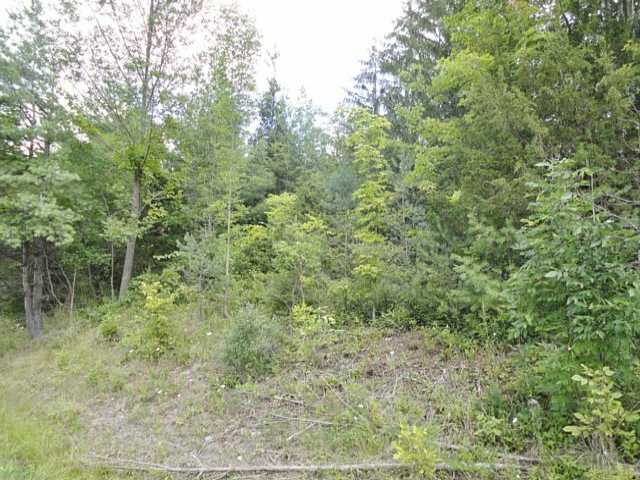 9199 Hines Road Wayne, NY 14840 - Photo 1 of 1 Exterior Front