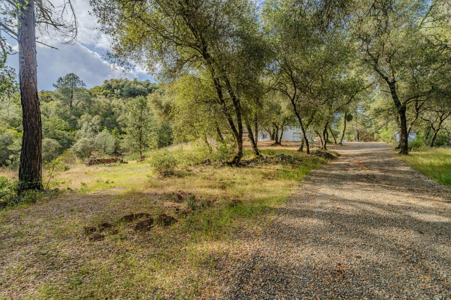 19333 American Flat Side Road Fiddletown, CA 95629 - Photo 30 of 33