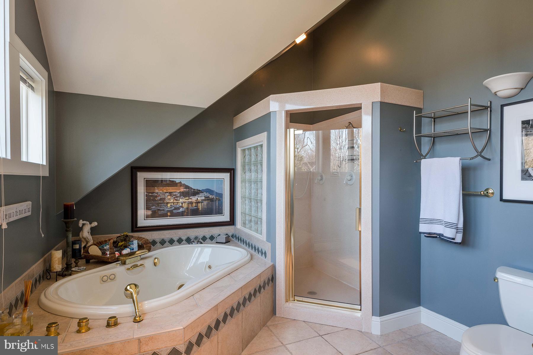 503 Broadwater Road Arnold, MD 21012 - Photo 12 of 30 a bathroom with a tub and shower