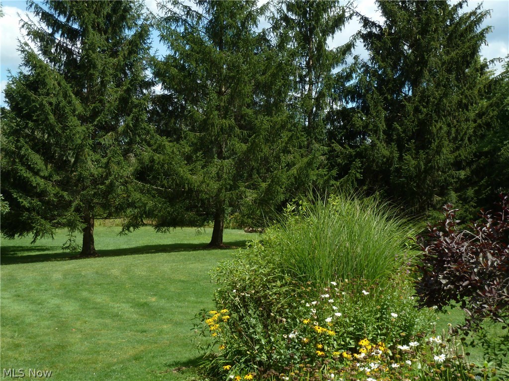 27445 Pergl Road Solon, OH 44139 - Photo 21 of 25 Gallery Image 21