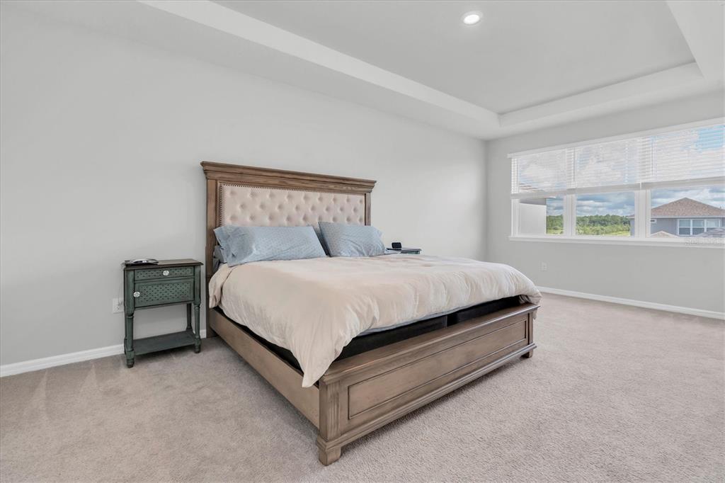 13639 Rangeland Boulevard Odessa, FL 33556 - Photo 17 of 63 a bed sitting in a bedroom next to a window