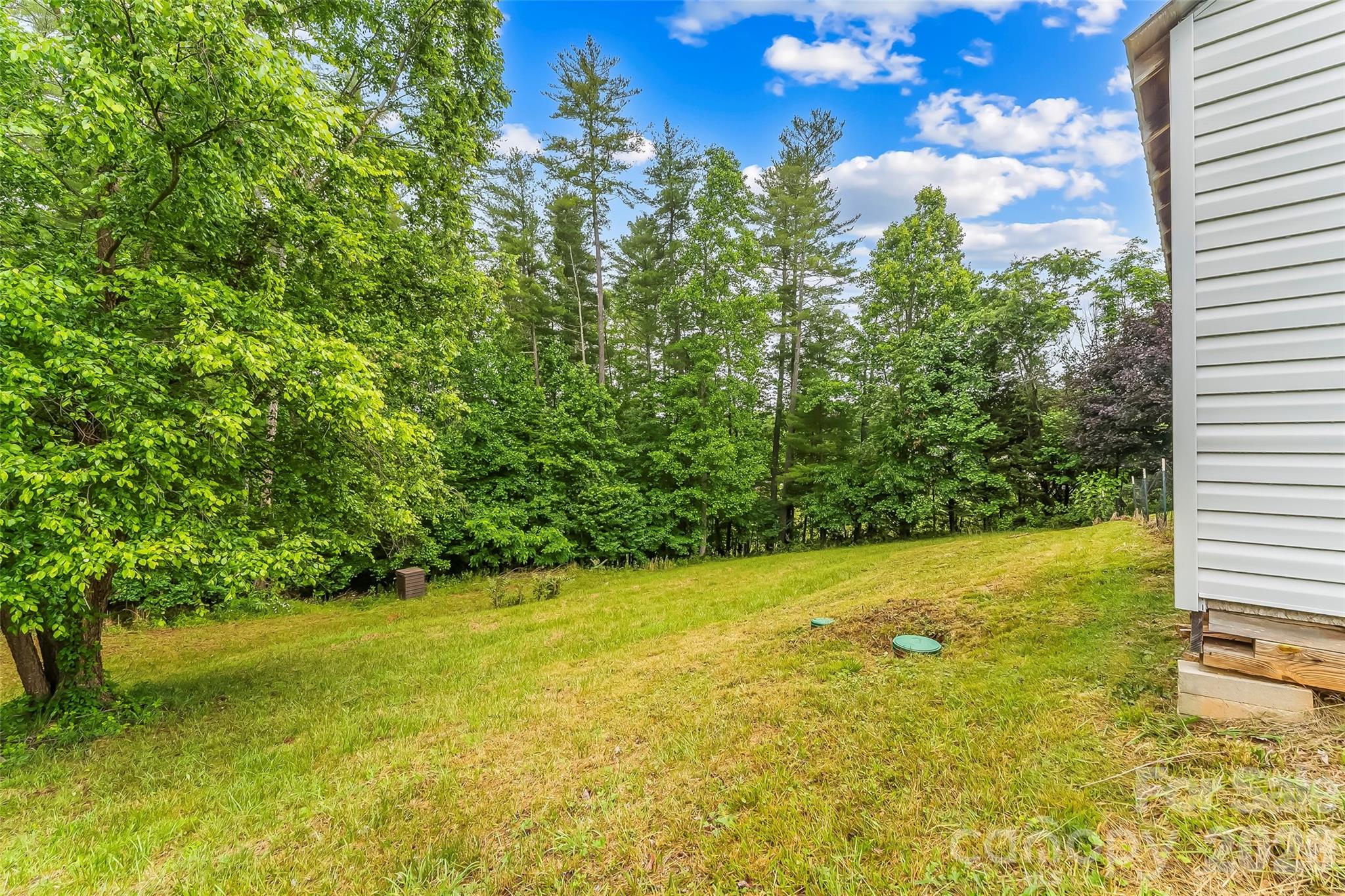2610 Bear Creek Road Marshall, NC 28753 - Photo 21 of 26