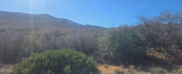 a view of a mountain range with trees in the background