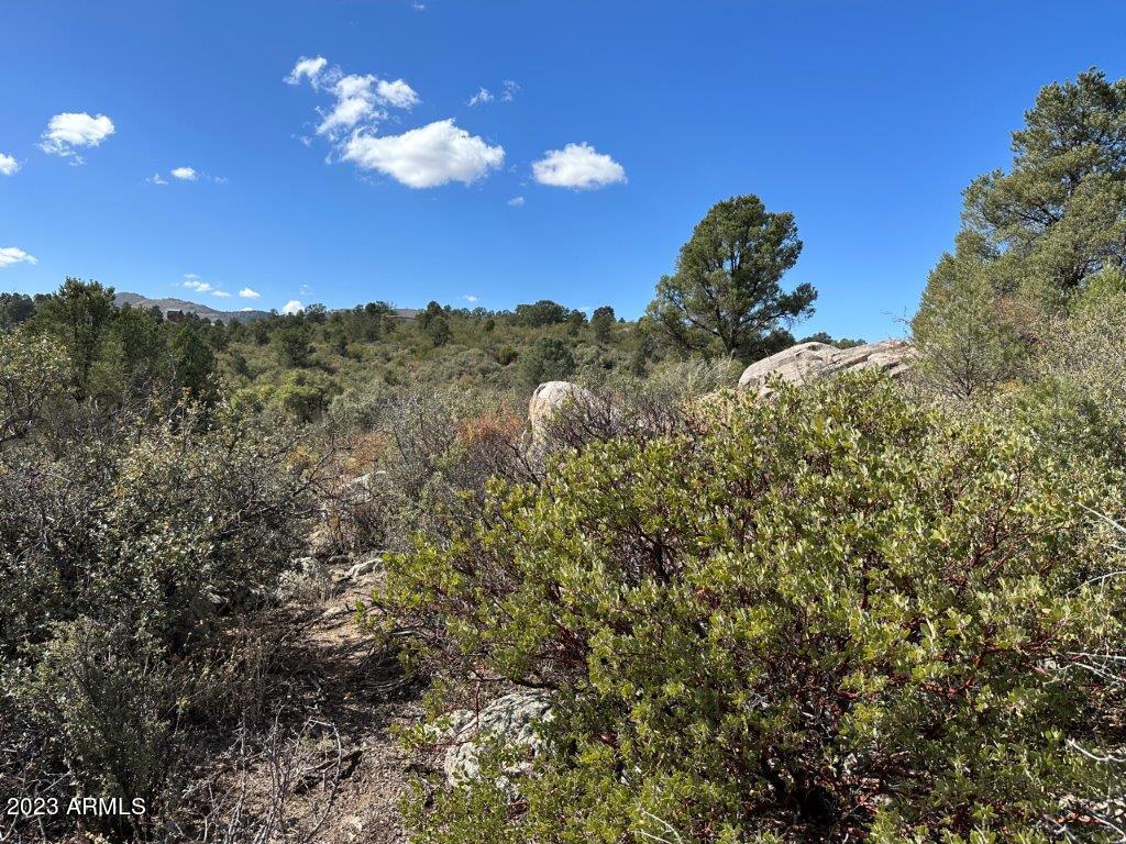 17926 Pinon Lane, Unit M5 Peeples Valley, AZ 86332 - Photo 11 of 13 IMG_2900