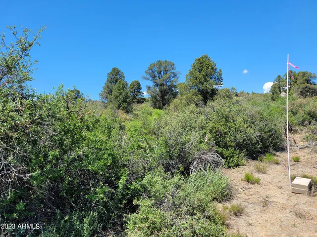 $129,500 | 17926 Pinon Lane, Unit M5, Peeples Valley, AZ 86332