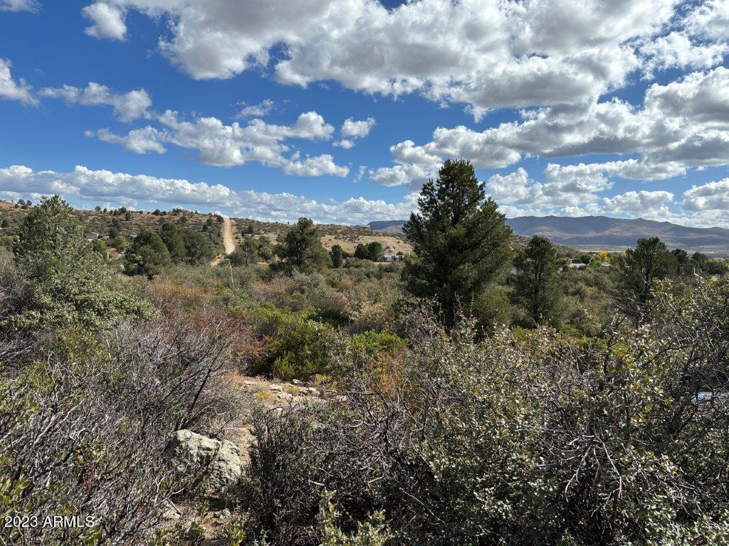 17926 Pinon Lane, Unit M5 Peeples Valley, AZ 86332 - Photo 3 of 13 IMG_2885