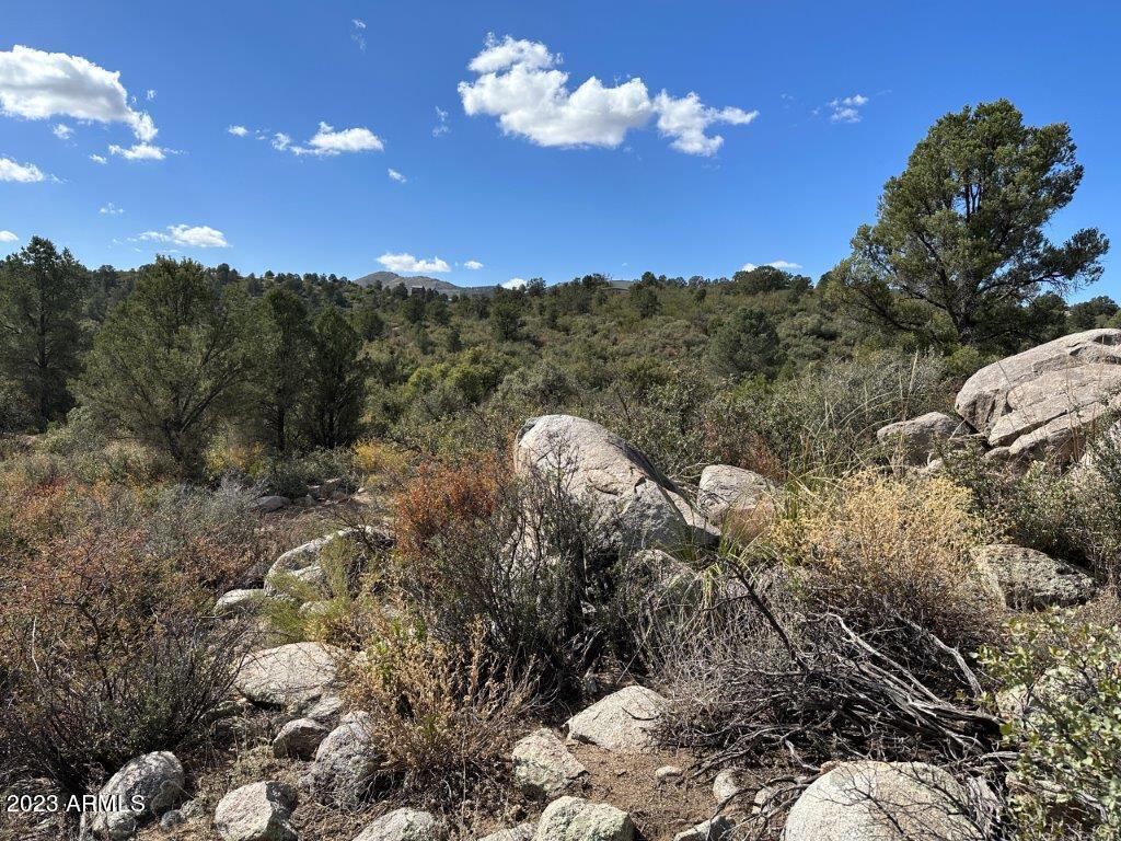 17926 Pinon Lane, Unit M5 Peeples Valley, AZ 86332 - Photo 5 of 13 IMG_2888