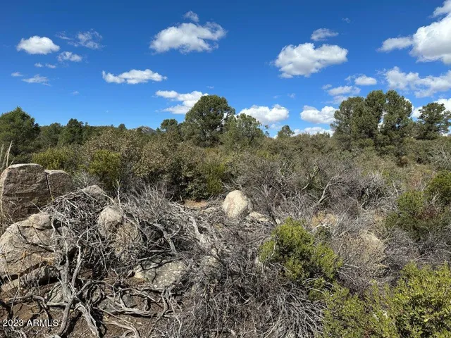 $129,500 | 17926 Pinon Lane, Unit M5, Peeples Valley, AZ 86332