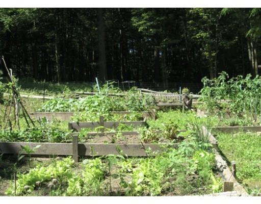 22 Long Hill Road Leverett, MA 01054 - Photo 4 of 11 a garden with lots of green space