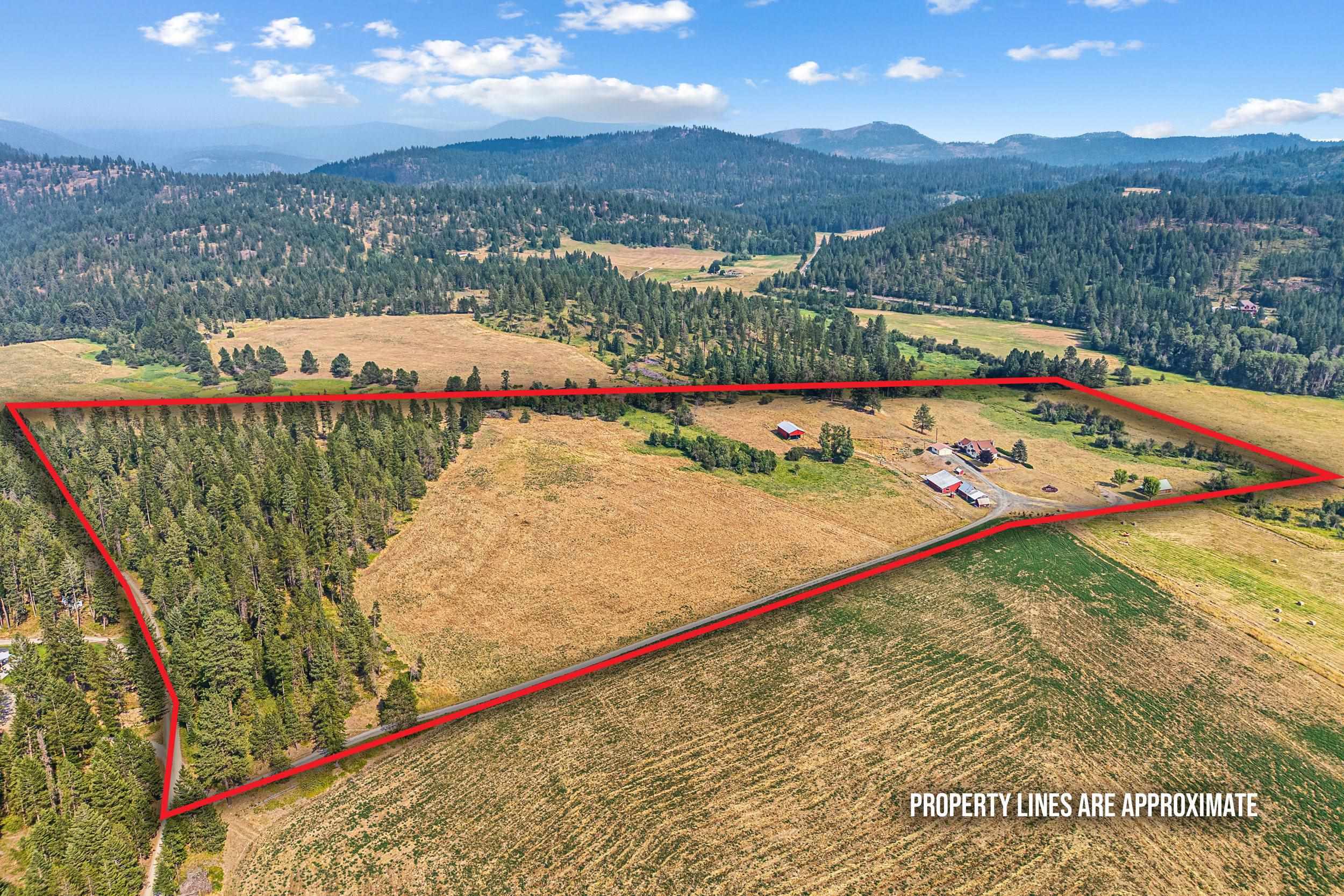 2228 Blue Creek Road West Addy, WA 99101 - Photo 48 of 50 Gallery Image 48