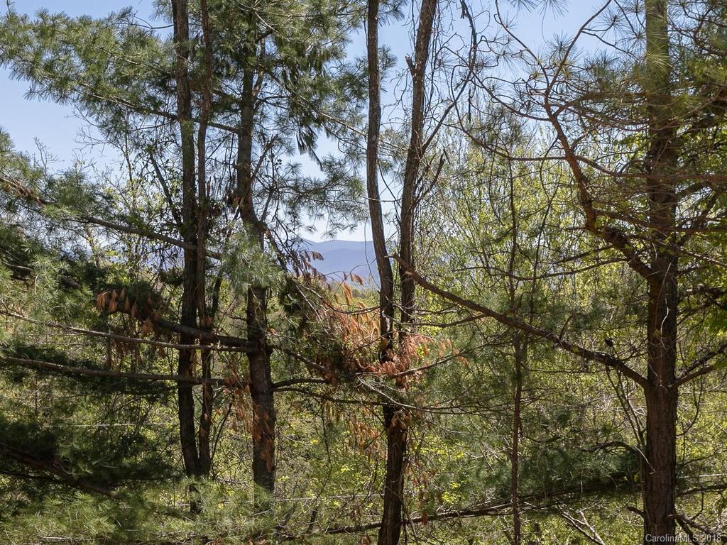 23 Gibbs Road Leicester, NC 28748 - Photo 23 of 30 Gallery Image 23