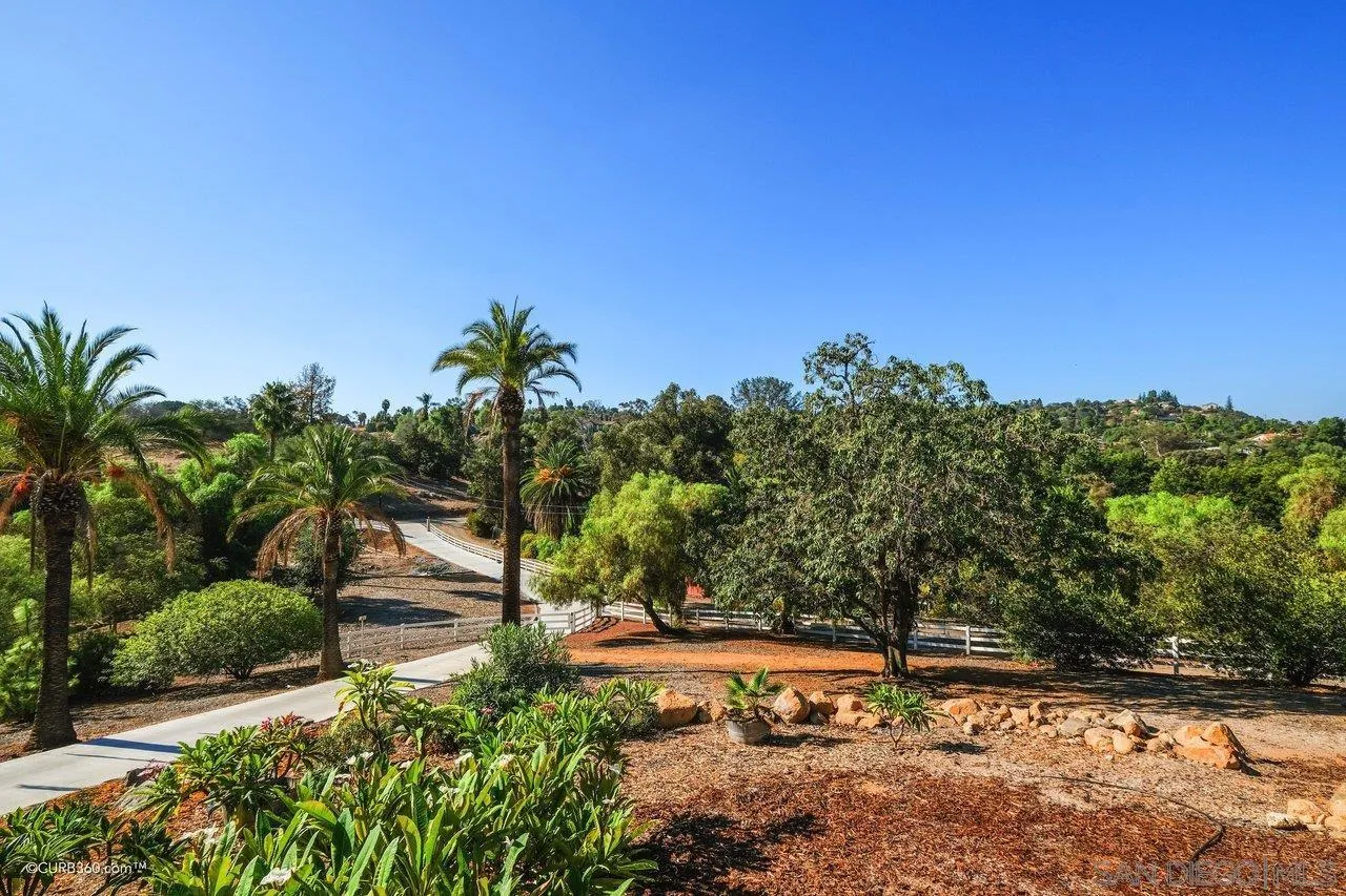 1544 Grove Road El Cajon, CA 92020 - Photo 15 of 42 a view of a yard with palm tree