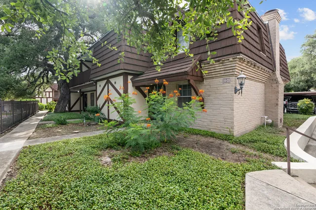 a backyard of a house with plants and tree