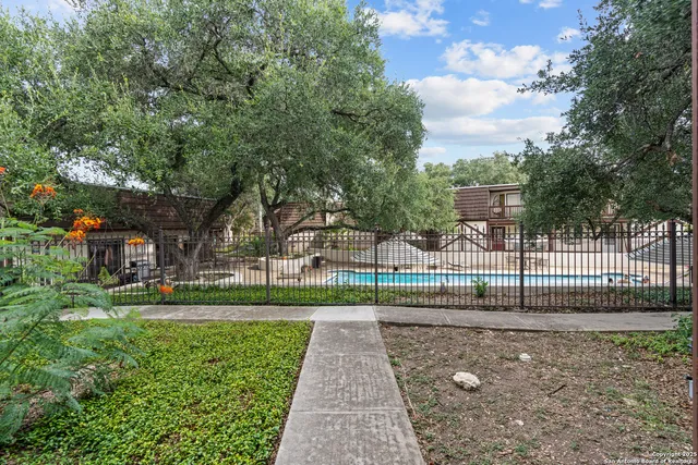a view of a yard with plants and trees