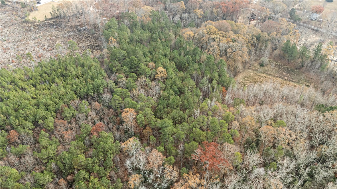 -- Pearson Road Belton, SC 29627 - Photo 4 of 10