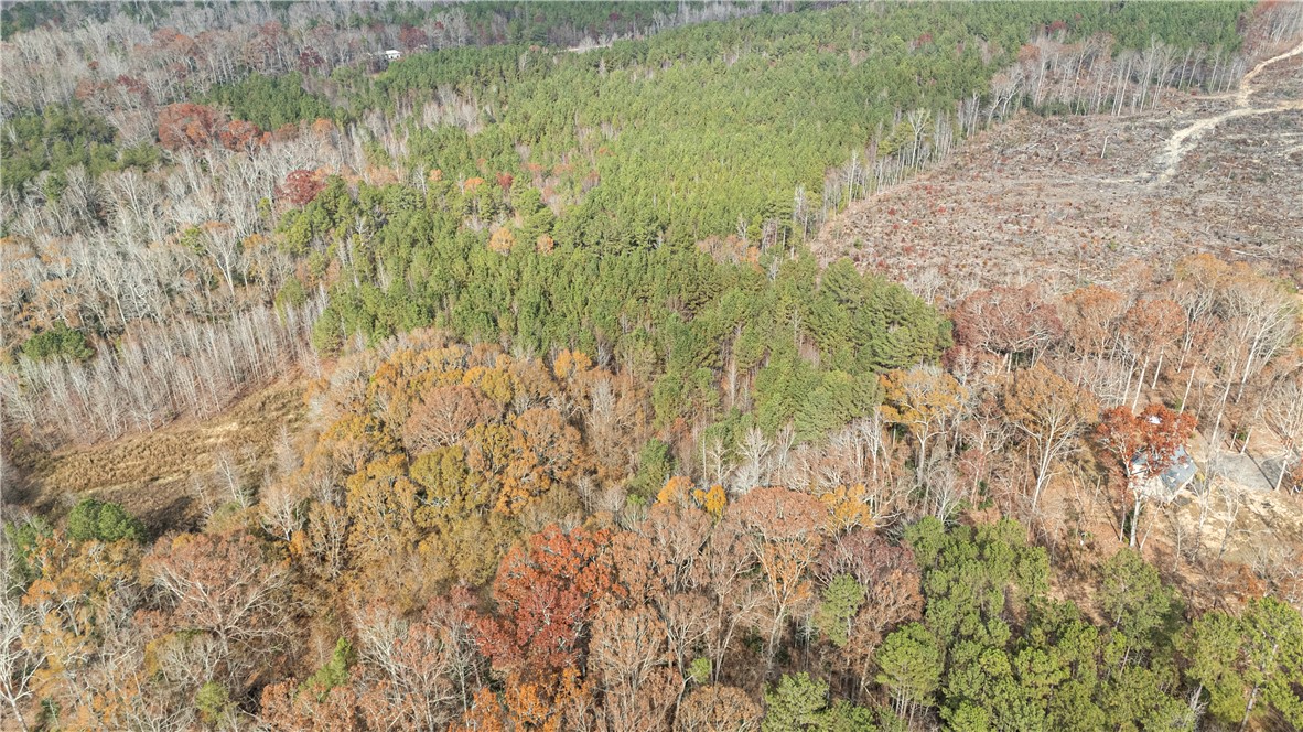 -- Pearson Road Belton, SC 29627 - Photo 5 of 10