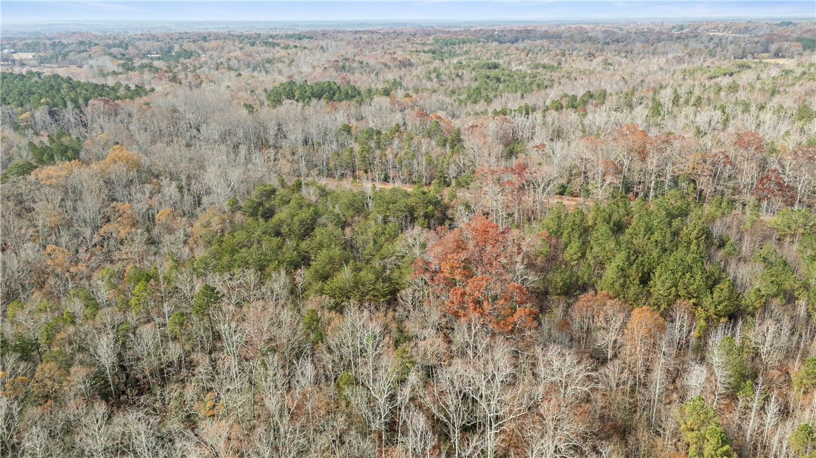 -- Pearson Road Belton, SC 29627 - Photo 10 of 10