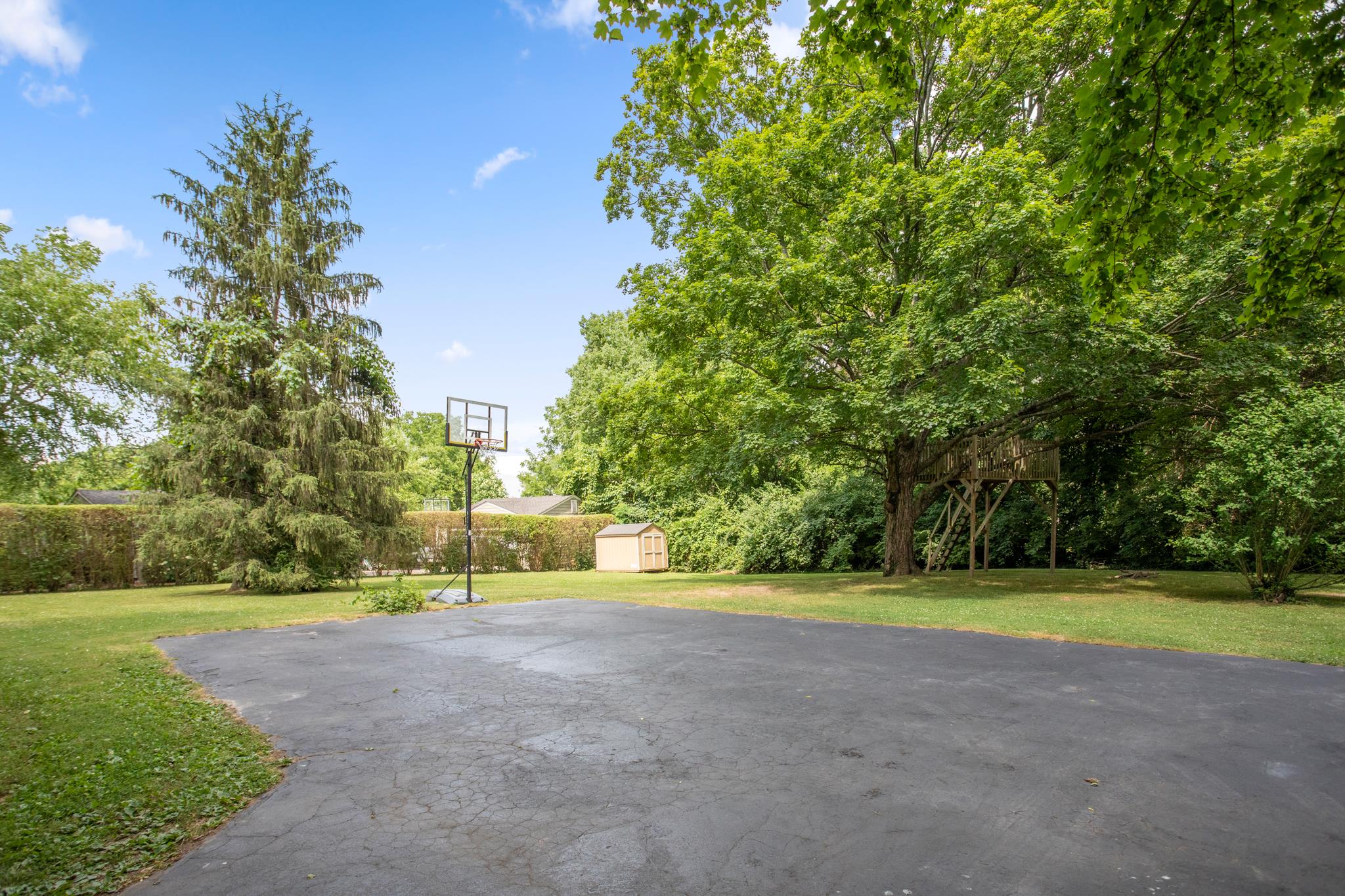 608 Crieve Road Nashville, TN 37220 - Photo 21 of 23 HUGE lot. Great yard space. Impressive tree deck to remain