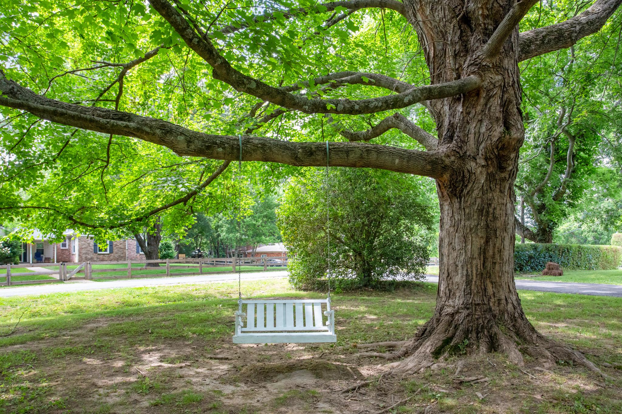 608 Crieve Road Nashville, TN 37220 - Photo 22 of 23 Mature trees provide privacy and shade