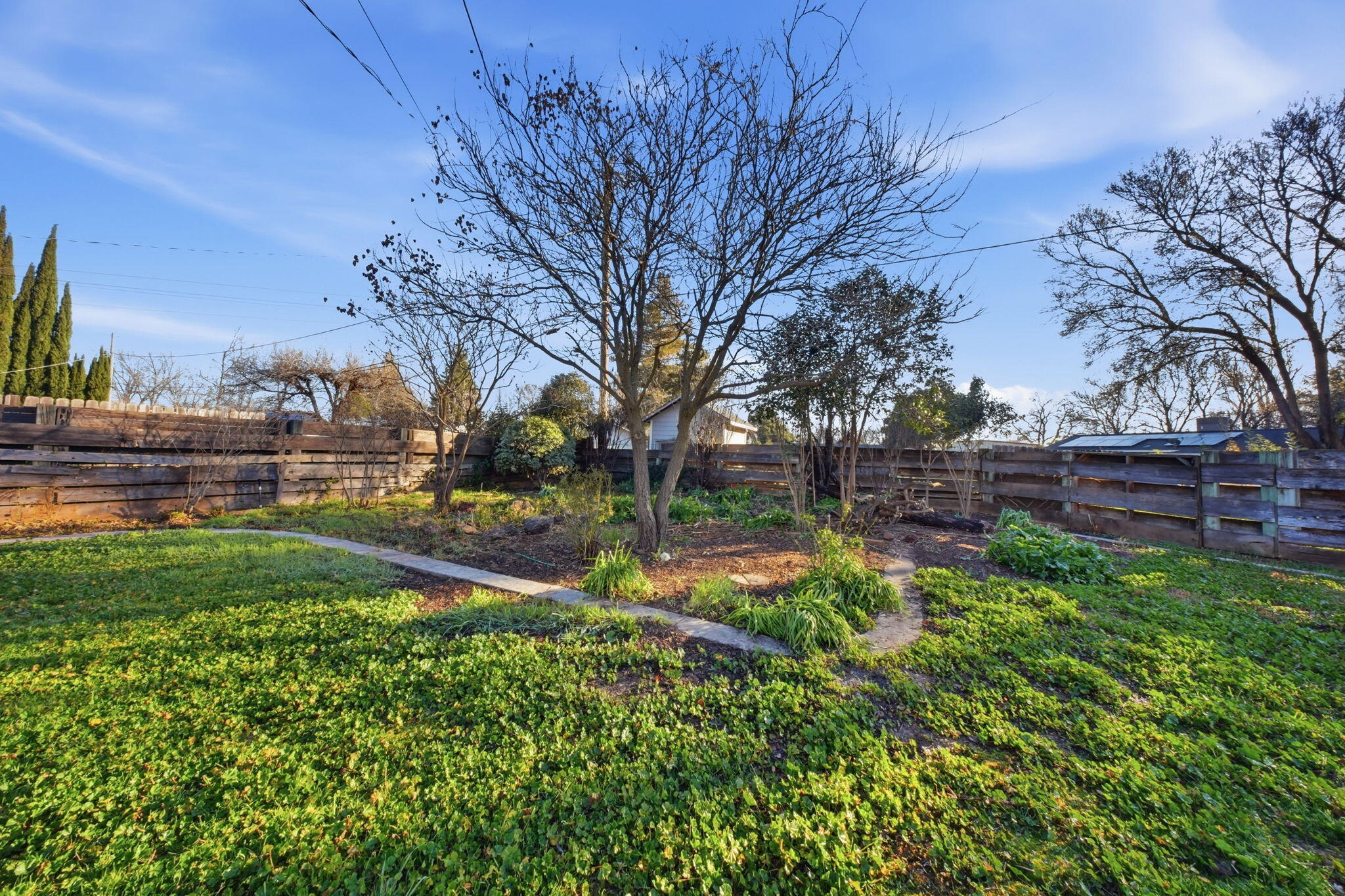 13520 Crystal Street Red Bluff, CA 96080 - Photo 22 of 24 a view of backyard with green space