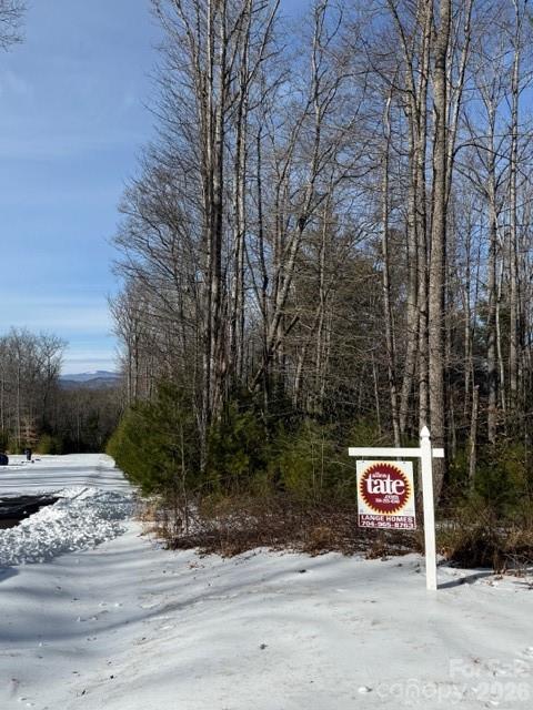 Lot 38 Sonterra Ridge Lansing, NC 28643 - Photo 4 of 7